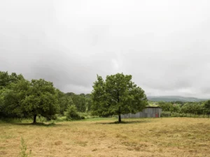 Immagine per 62km. L'acqua nascosta del tempo