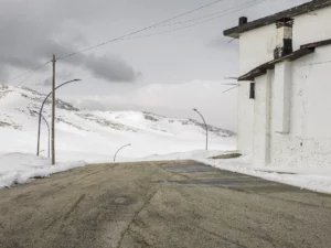 Immagine per La silente anarchia della natura