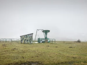 Immagine per La silente anarchia della natura